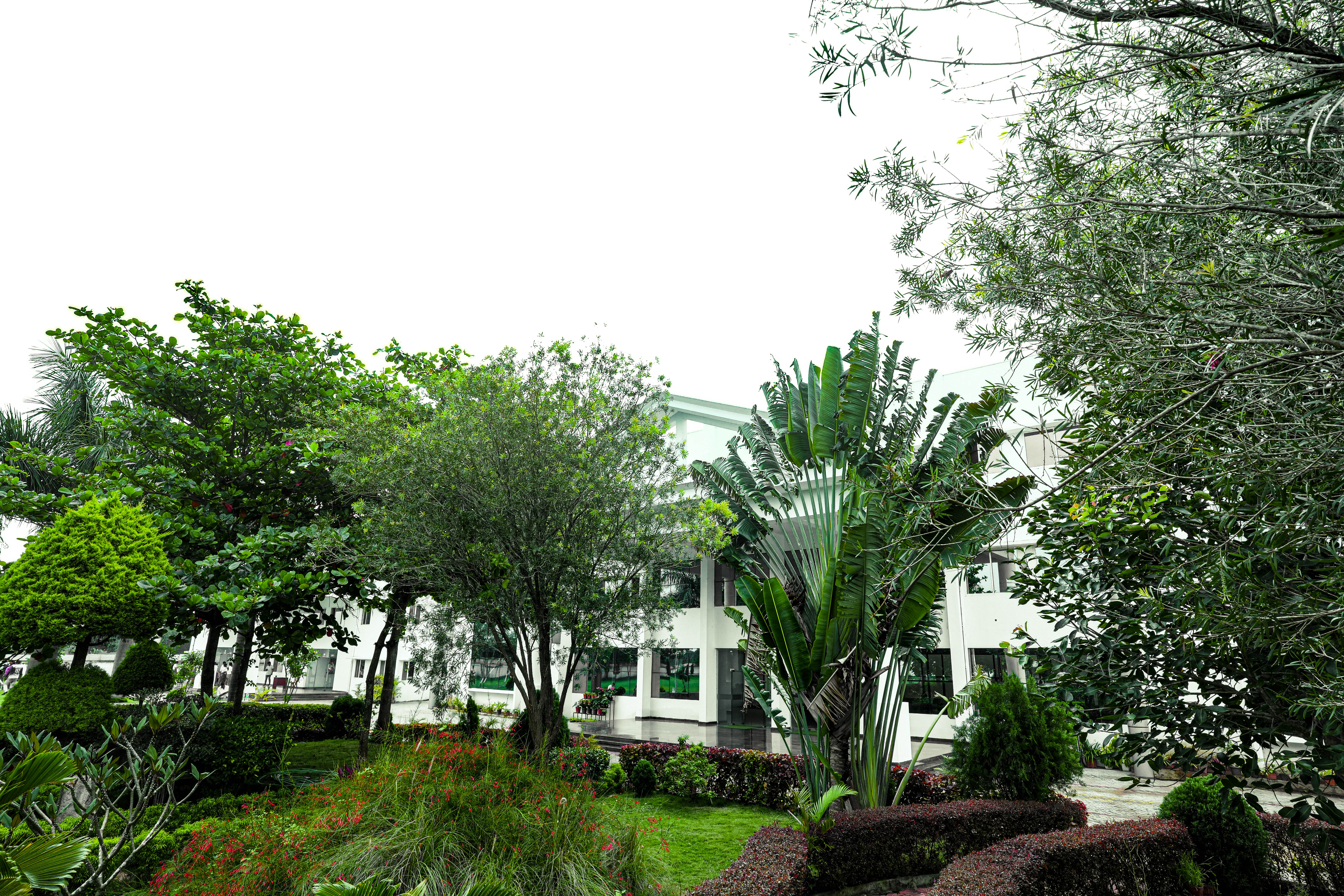 course Image