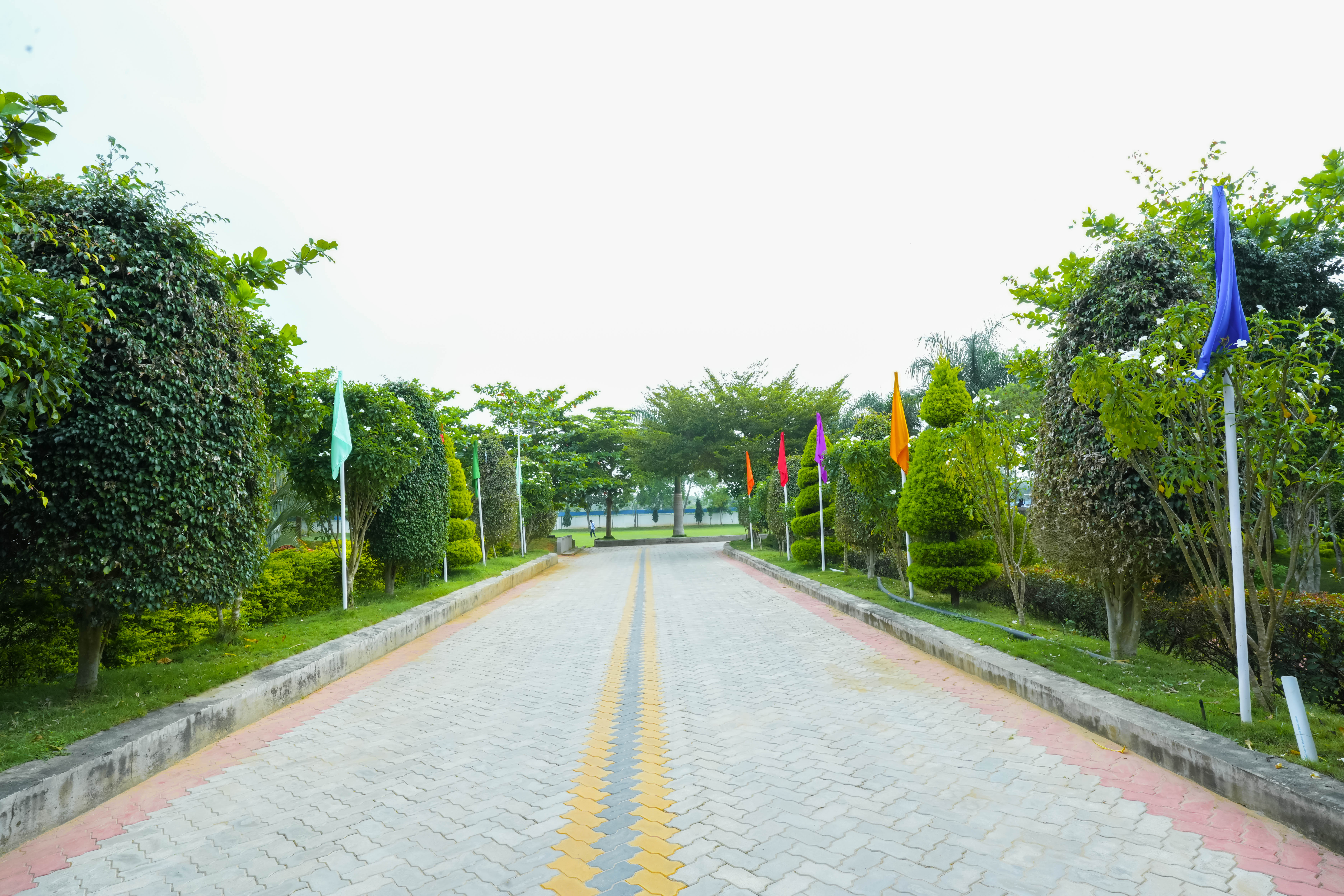 course Image
